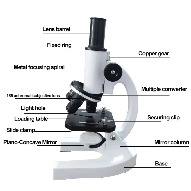 40X-2000X Magnification Microscope for Kids Adults with LED Light & Phone Adapter, Includes Slides Science Educational Kit for S