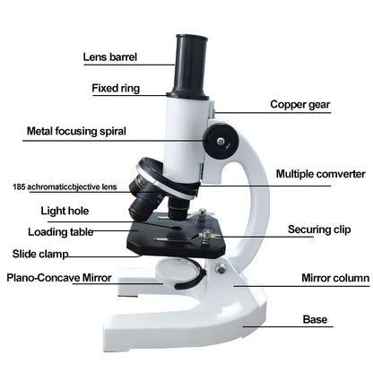 40X-2000X Magnification Microscope for Kids Adults with LED Light & Phone Adapter, Includes Slides Science Educational Kit for S
